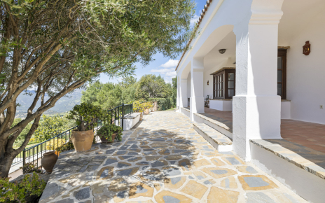 House terraces with steps down to gated pool